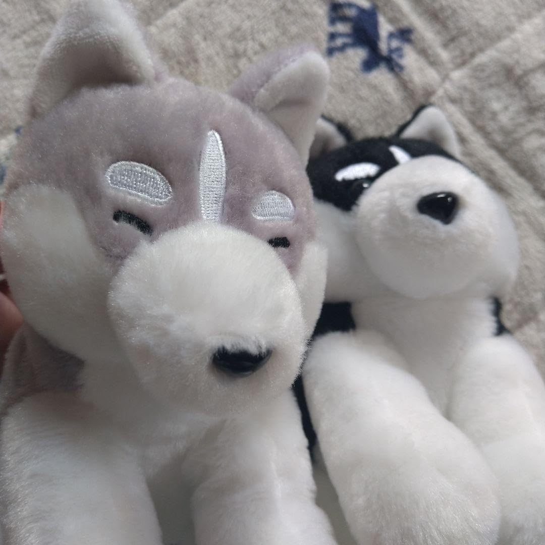 Amazon.co.jp: くったりシベリアンハスキー 犬 ぬいぐるみ 二匹セット